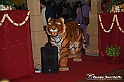 VBS_9000 - Festival dell'Oriente 2023